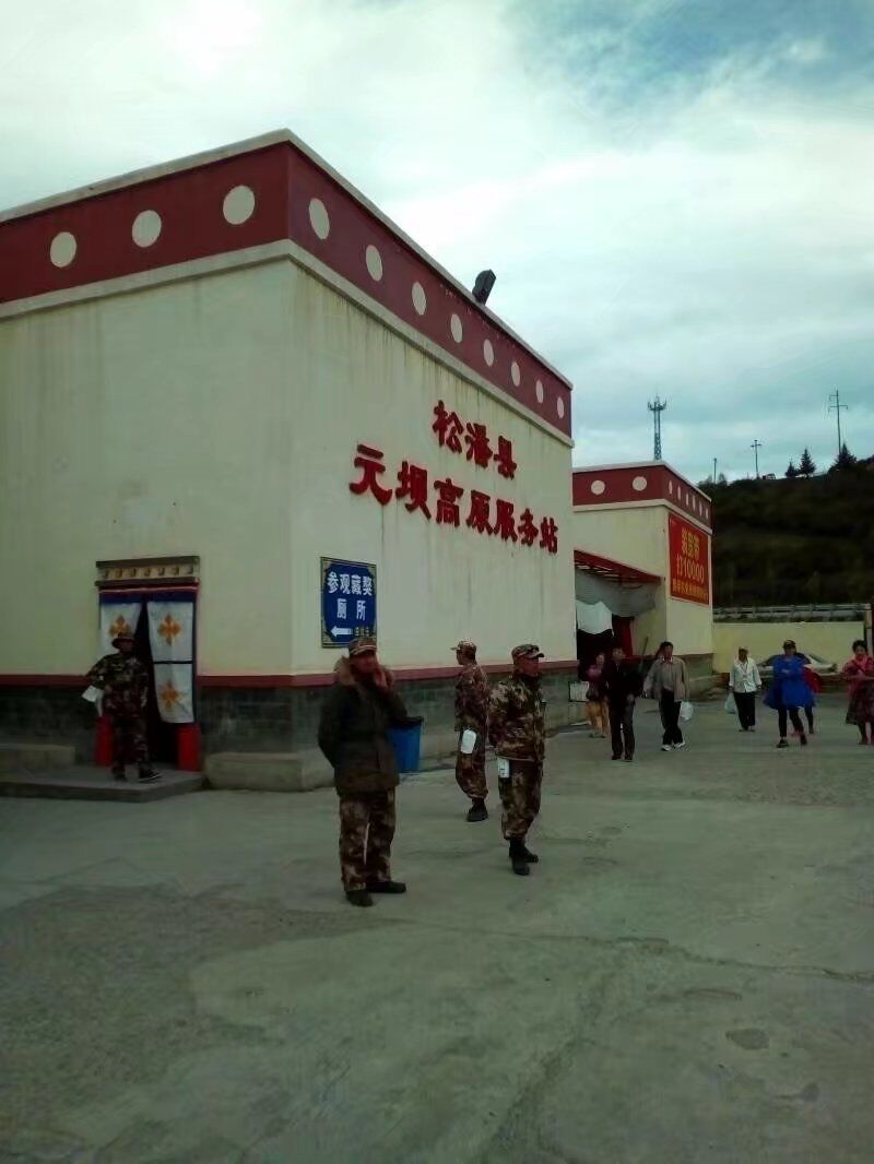 13.jpg